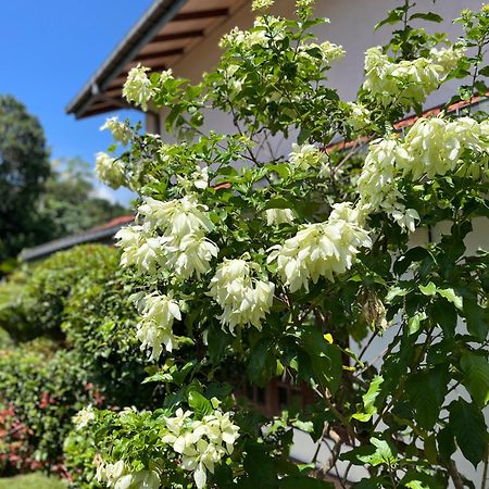 Garden Haven Hikkaduwa Villa Buitenkant foto